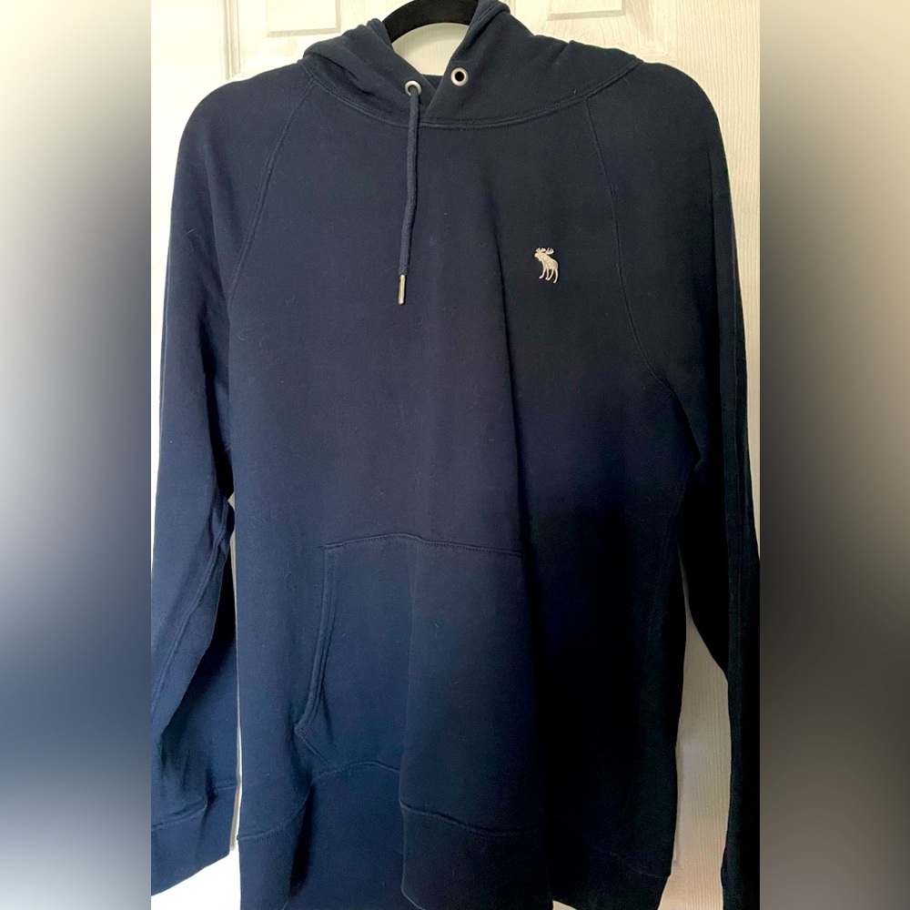 Boy’s Abercrombie & Fitch Hooded Soft Fleece Sweatshirt- Blue, Medium